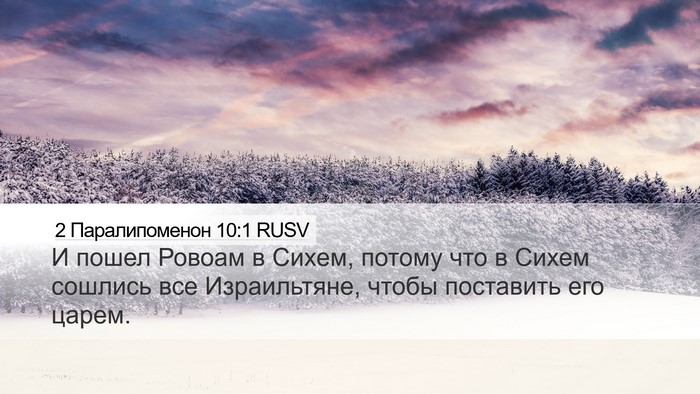 2 Паралипоменон 10:1 RUSV Bible Verse Image