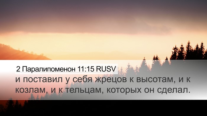2 Паралипоменон 11:15 RUSV Bible Verse Image