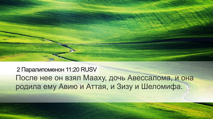 2 Паралипоменон 11:20 RUSV Bible Verse Image