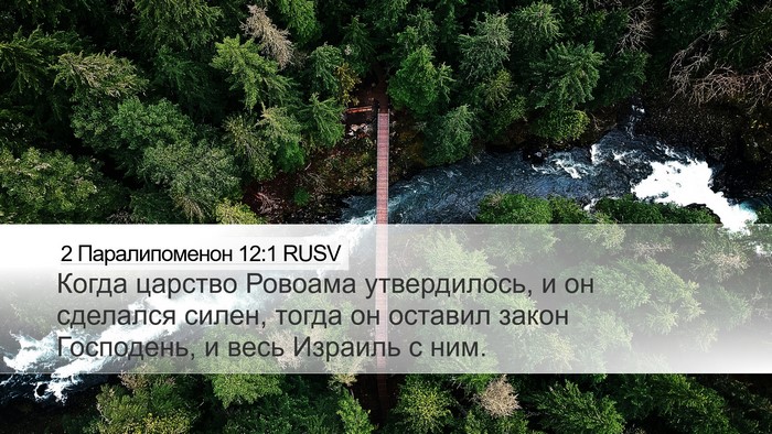 2 Паралипоменон 12:1 RUSV Bible Verse Image