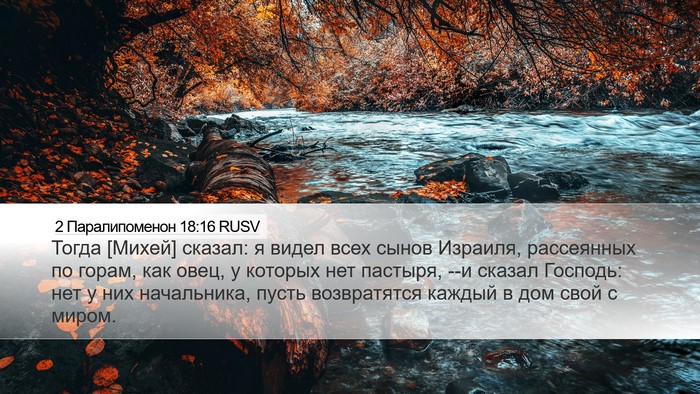 2 Паралипоменон 18:16 RUSV Bible Verse Image