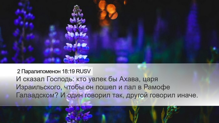 2 Паралипоменон 18:19 RUSV Bible Verse Image