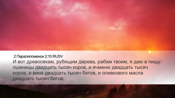 2 Паралипоменон 2:10 RUSV Bible Verse Image