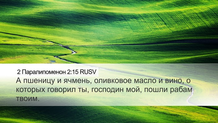 2 Паралипоменон 2:15 RUSV Desktop Wallpaper - А пшеницу и ячмень, - Desktop Bible Verse Wallpaper