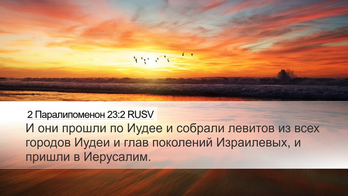 2 Паралипоменон 23:2 RUSV Bible Verse Image