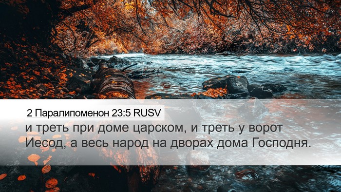2 Паралипоменон 23:5 RUSV Bible Verse Image