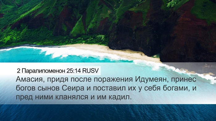 2 Паралипоменон 25:14 RUSV Bible Verse Image