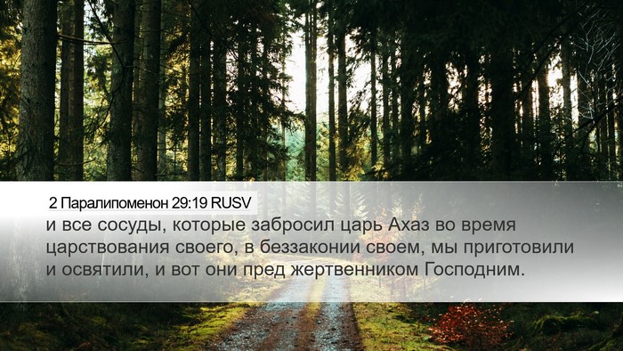 2 Паралипоменон 29:19 RUSV Bible Verse Image