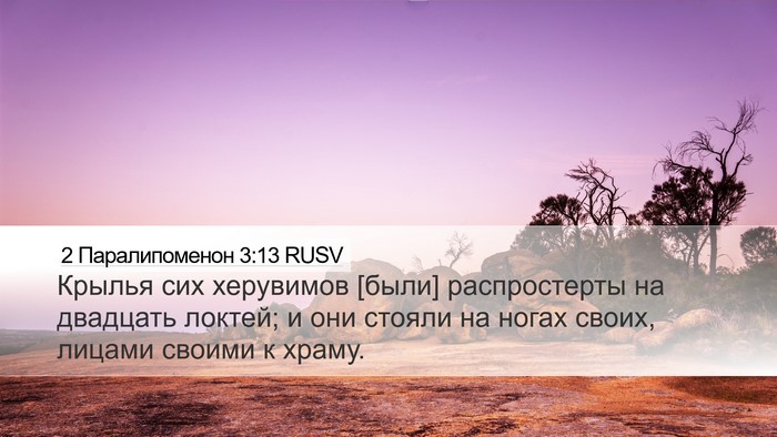 2 Паралипоменон 3:13 RUSV Desktop Wallpaper - Крылья сих херувимов [были] - Desktop Bible Verse Wallpaper