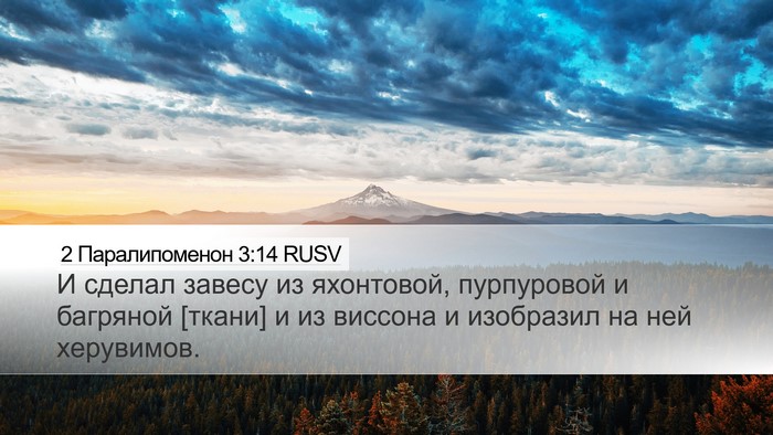 2 Паралипоменон 3:14 RUSV Bible Verse Image