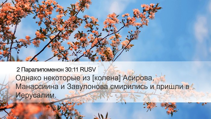 2 Паралипоменон 30:11 RUSV Bible Verse Image