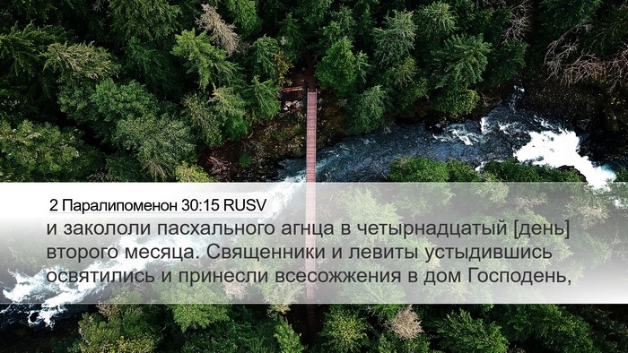 2 Паралипоменон 30:15 RUSV Bible Verse Image