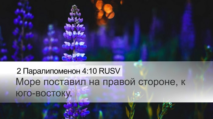 2 Паралипоменон 4:10 RUSV Desktop Wallpaper - Море поставил на правой - Desktop Bible Verse Wallpaper