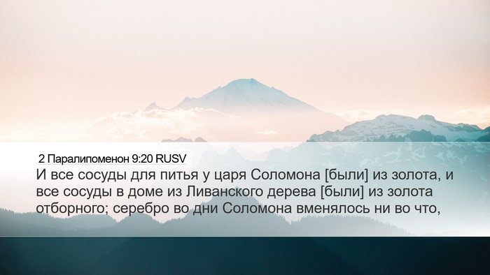 2 Паралипоменон 9:20 RUSV Bible Verse Image