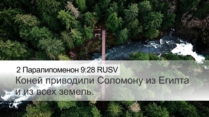 2 Паралипоменон 9:28 RUSV Bible Verse Image