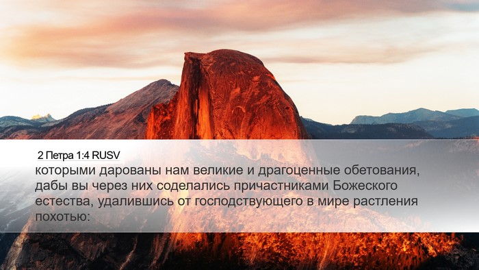 2 Петра 1:4 RUSV Bible Verse Image