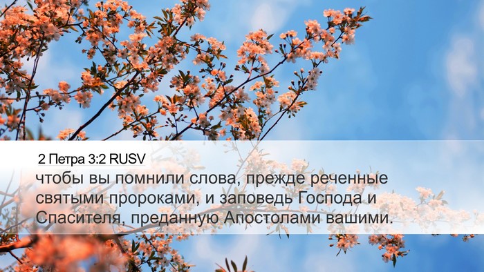 2 Петра 3:2 RUSV Bible Verse Image