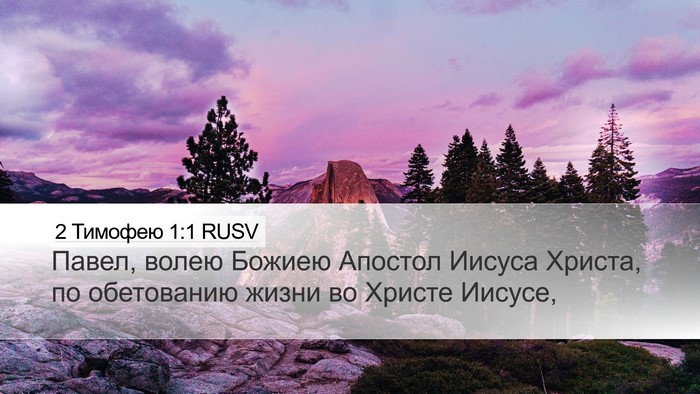 2 Тимофею 1:1 RUSV Bible Verse Image