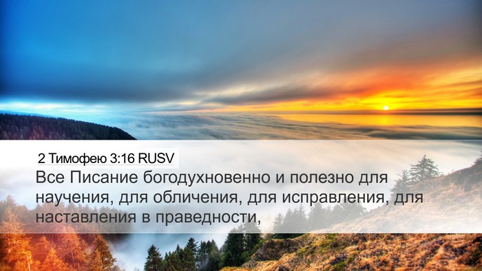 2 Тимофею 3:16 RUSV Bible Verse Image
