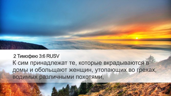 2 Тимофею 3:6 RUSV Desktop Wallpaper - К сим принадлежат те, - Desktop Bible Verse Wallpaper