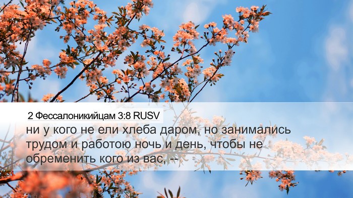 2 Фессалоникийцам 3:8 RUSV Bible Verse Image