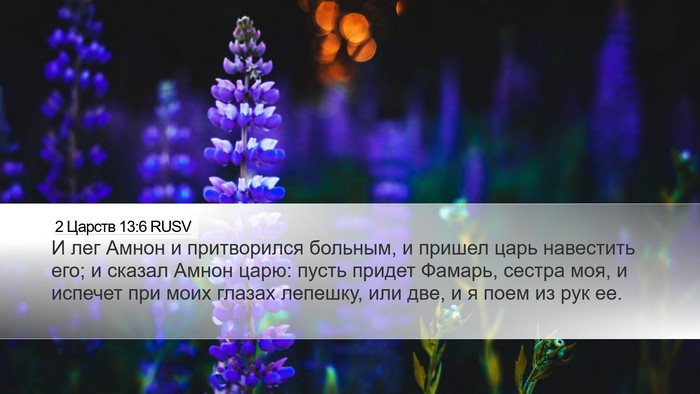2 Царств 13:6 RUSV Desktop Wallpaper - И лег Амнон и притворился - Desktop Bible Verse Wallpaper