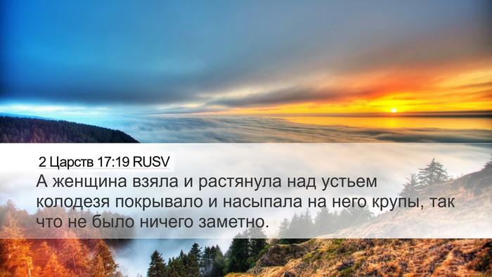 2 Царств 17:19 RUSV Desktop Wallpaper - А женщина взяла и - Desktop Bible Verse Wallpaper