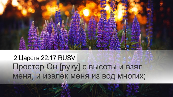 2 Царств 22:17 RUSV Bible Verse Image