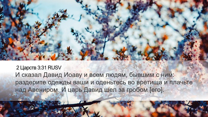 2 Царств 3:31 RUSV Bible Verse Image