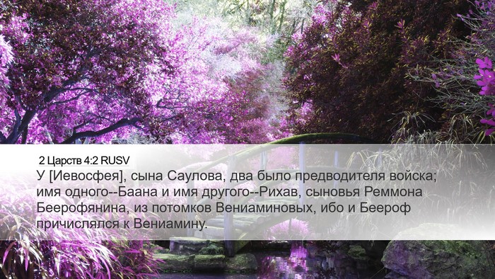2 Царств 4:2 RUSV Desktop Wallpaper - У [Иевосфея], сына Саулова, - Desktop Bible Verse Wallpaper