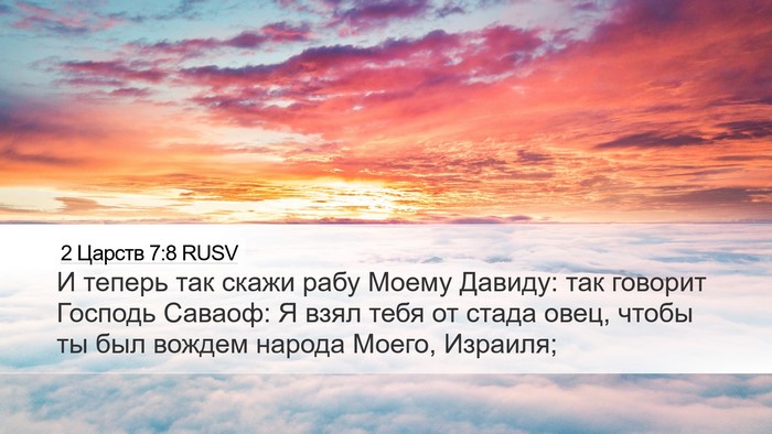 2 Царств 7:8 RUSV Bible Verse Image
