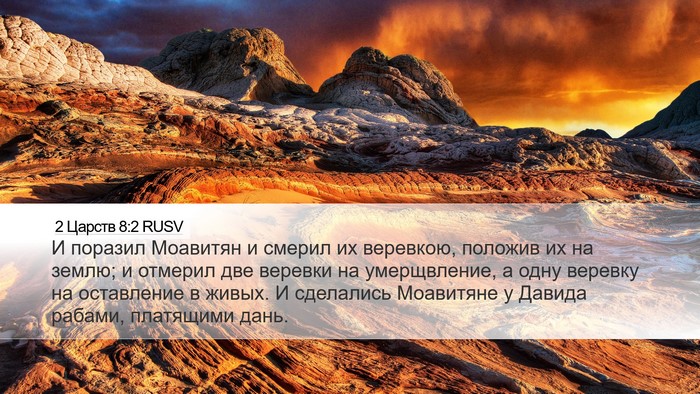 2 Царств 8:2 RUSV Bible Verse Image