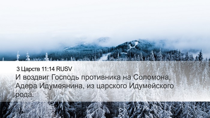 3 Царств 11:14 RUSV Bible Verse Image