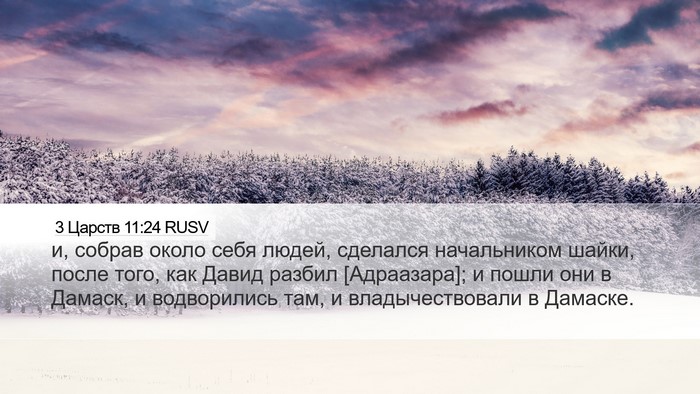 3 Царств 11:24 RUSV Bible Verse Image