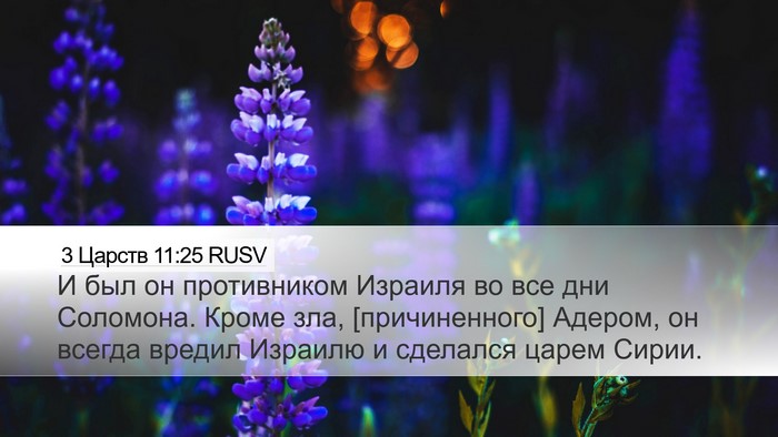 3 Царств 11:25 RUSV Desktop Wallpaper - И был он противником - Desktop Bible Verse Wallpaper