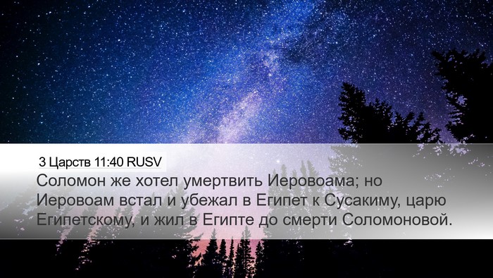 3 Царств 11:40 RUSV Bible Verse Image