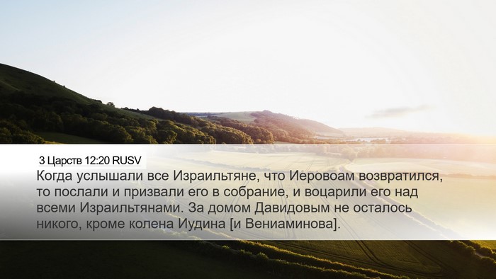 3 Царств 12:20 RUSV Bible Verse Image