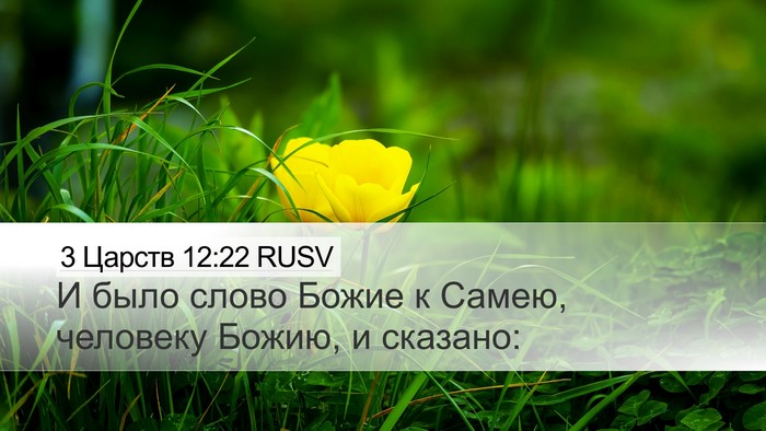 3 Царств 12:22 RUSV Bible Verse Image