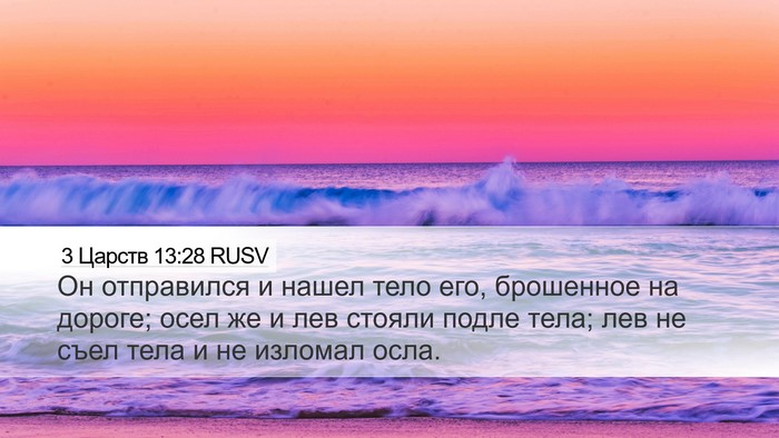 3 Царств 13:28 RUSV Desktop Wallpaper - Он отправился и нашел тело - Desktop Bible Verse Wallpaper
