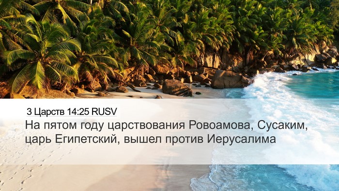 3 Царств 14:25 RUSV Bible Verse Image