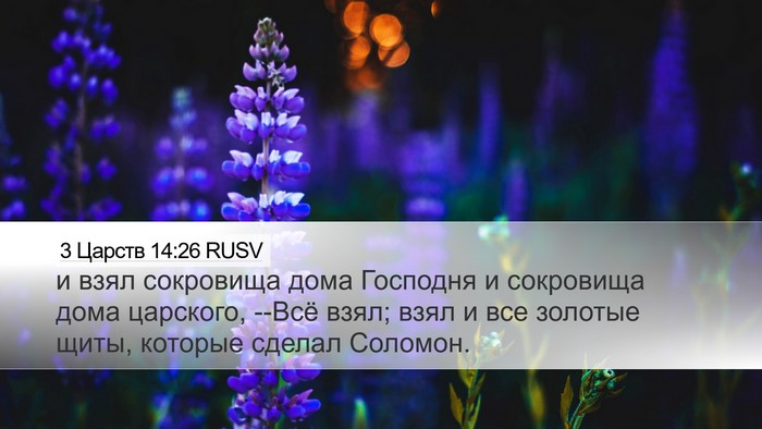 3 Царств 14:26 RUSV Bible Verse Image