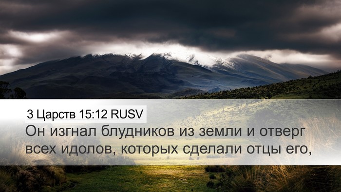 3 Царств 15:12 RUSV Bible Verse Image