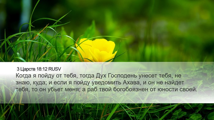 3 Царств 18:12 RUSV Bible Verse Image