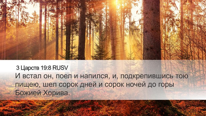 3 Царств 19:8 RUSV Bible Verse Image