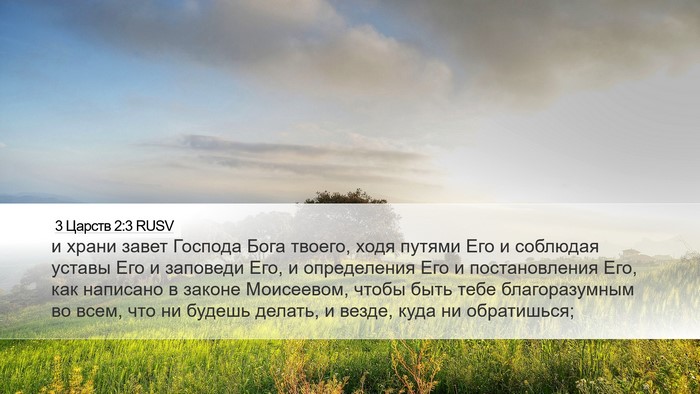 3 Царств 2:3 RUSV Bible Verse Image