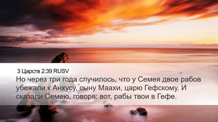 3 Царств 2:39 RUSV Bible Verse Image
