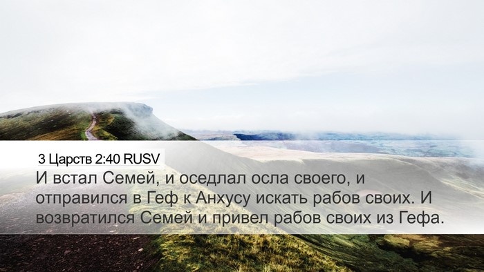 3 Царств 2:40 RUSV Desktop Wallpaper - И встал Семей, и оседлал - Desktop Bible Verse Wallpaper