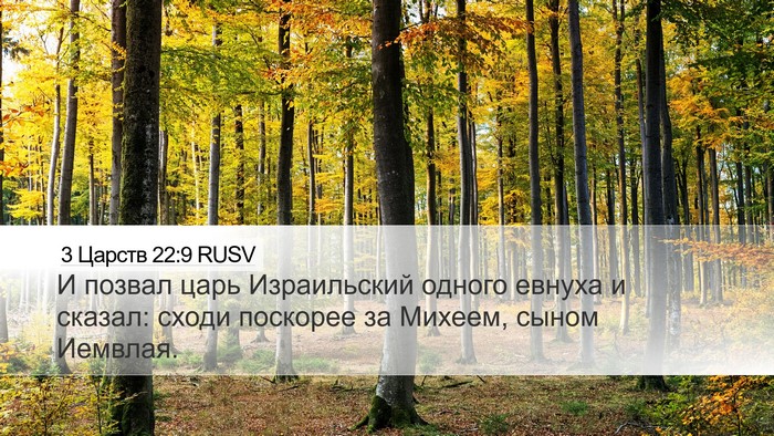 3 Царств 22:9 RUSV Desktop Wallpaper - И позвал царь Израильский - Desktop Bible Verse Wallpaper