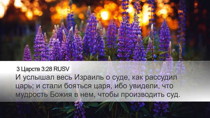3 Царств 3:28 RUSV Bible Verse Image