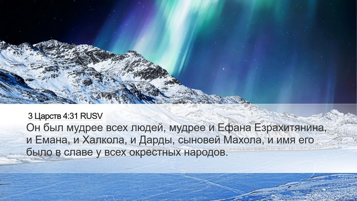 3 Царств 4:31 RUSV Bible Verse Image